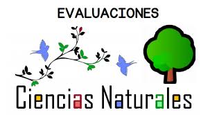 CIENCIAS NATURALES